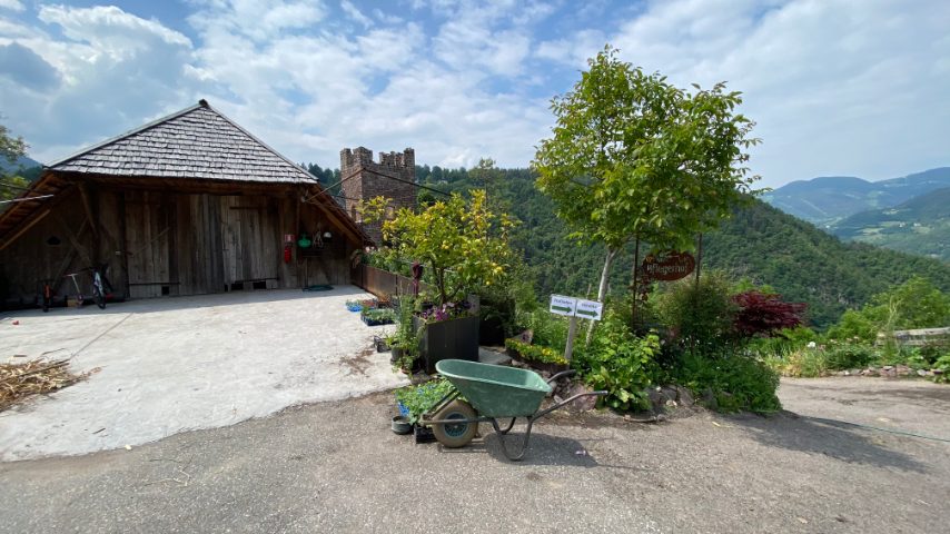 Maso Gump Foto di Stefano Govi