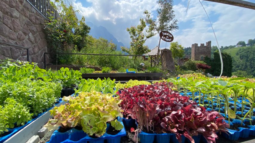 Pflegerhof Foto di Stefano Govi