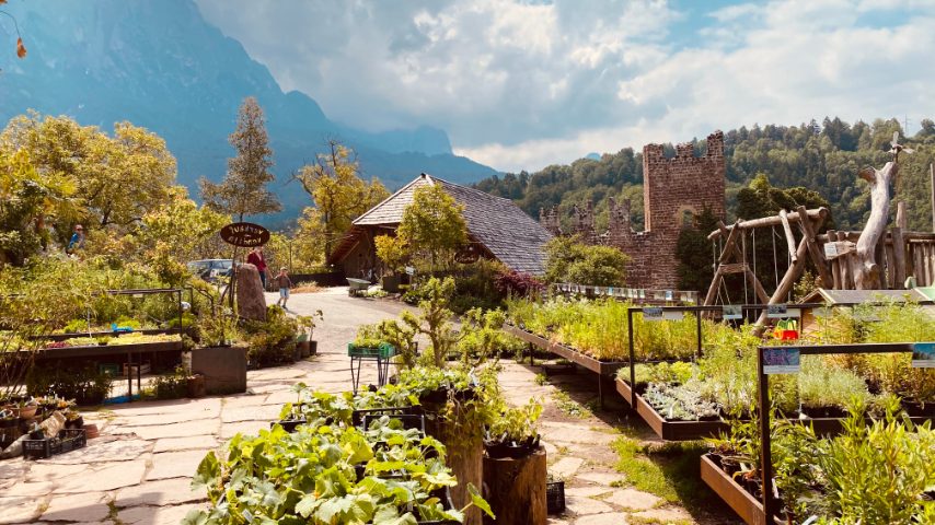 Pflegerhof Foto di Stefano Govi