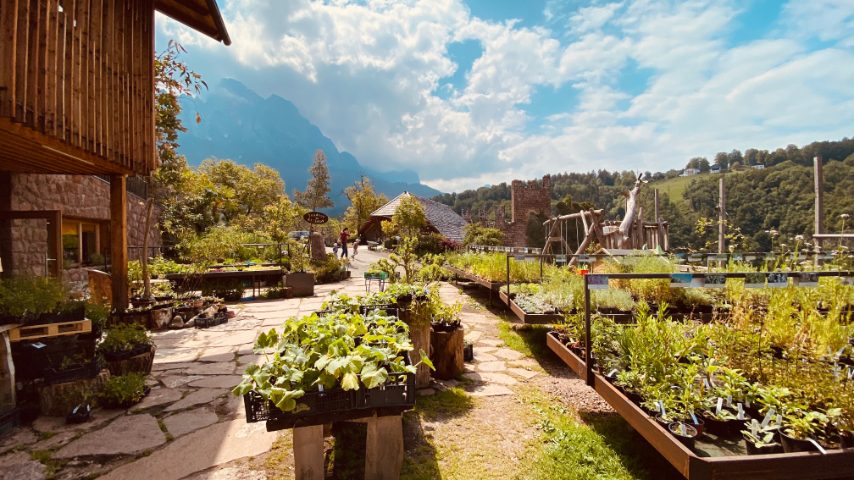 Pflegerhof Foto di Stefano Govi