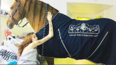 Il dottor Peyo, il cavallo speciale che visita i pazienti in ospedale per confortarli