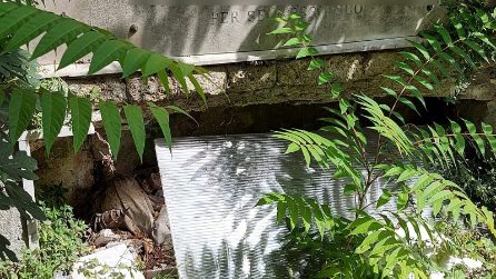 Il cimitero di Poggioreale abbandonato al degrado, dalle tombe spuntano i resti dei morti