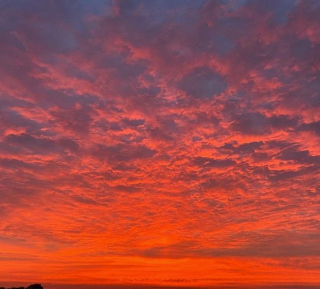 Fonte: Instagram, Aldo Violino