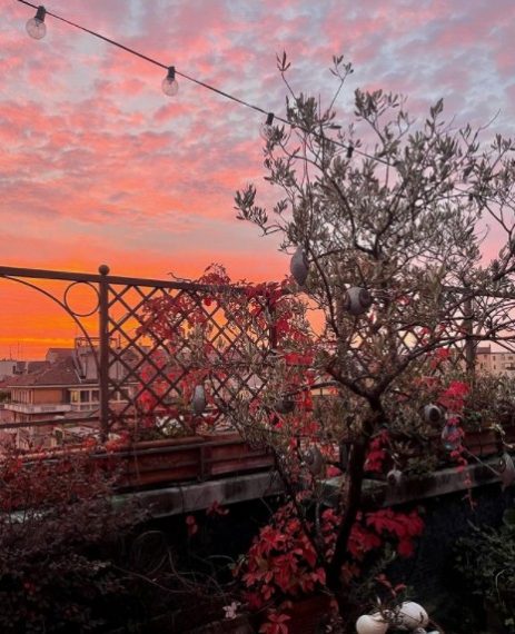 Fonte: Instagram, Gozdegulsoyy