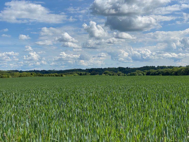 Il paesaggio da Vejle a Jelling