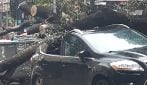 Maltempo a Napoli, distrutte auto e scooter in piazza Cavour