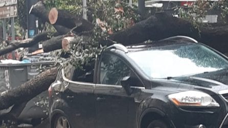Maltempo a Napoli, distrutte auto e scooter in piazza Cavour