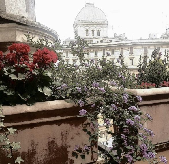 La terrazza panoramica di Francesca Fagnani