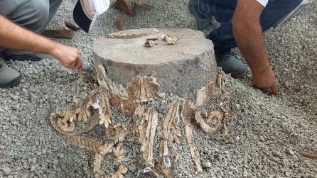 Agli Scavi di Stabiae scoperti tesori archeologici di 2mila anni fa