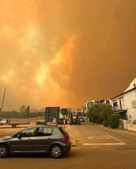 Le immagini dell'incendio che sta devastando la Sardegna postate sui social network.