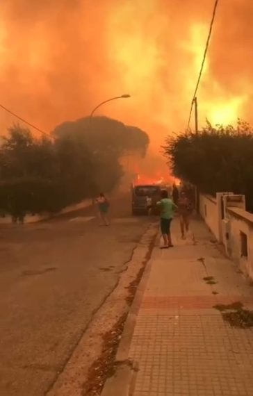 Ad alimentare il rogo, il vento di Maestrale che in questi giorni non ha accennato a diminuire