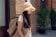 Dakota Johnson con tote bag Gucci
