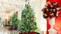 Natale 2024, le decorazioni scelte da Jill Biden alla Casa Bianca