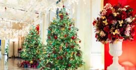 Natale 2024, le decorazioni scelte da Jill Biden alla Casa Bianca