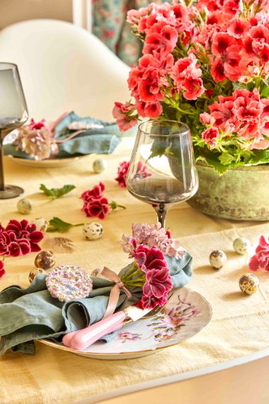 Pelargonium for Europe