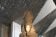 Il Grand Egyptian Museum