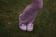 Crocs con charms