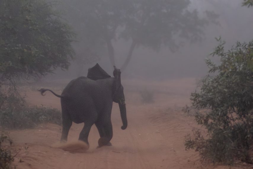 Credit: Daniela Rubino