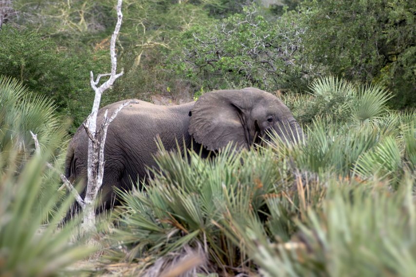 Credit: Daniela Rubino