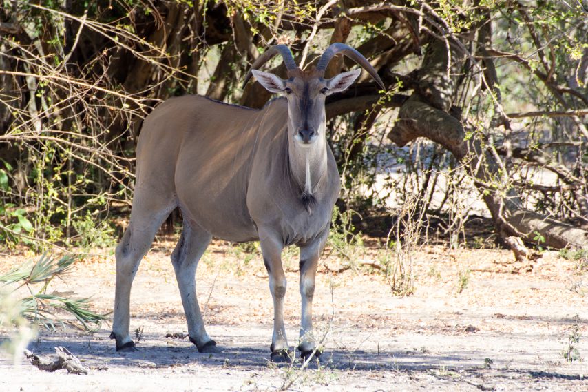 Credit: Daniela Rubino