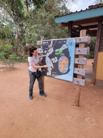 Credit: Chiara Grasso