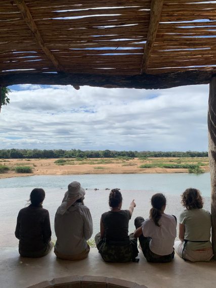 Credit: Chiara Grasso