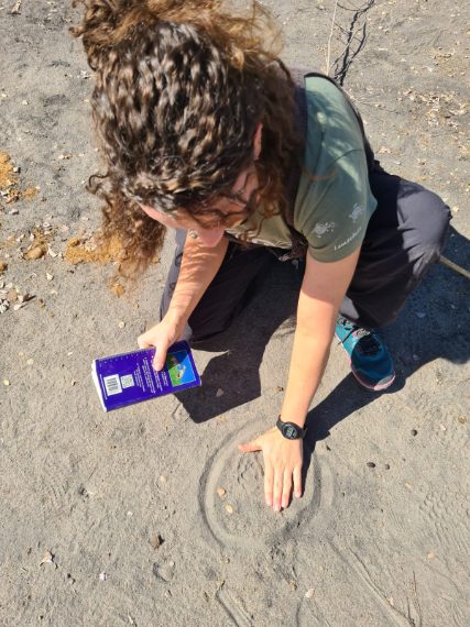 Credit: Chiara Grasso