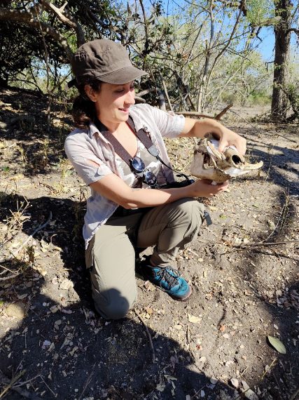 Credit: Chiara Grasso