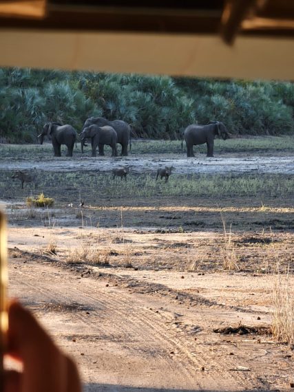 Credit: Daniela Rubino