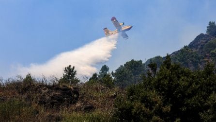 Incendio nel Parco Nazionale del Vesuvio