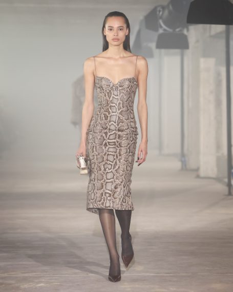 Ludovic de Saint Serin