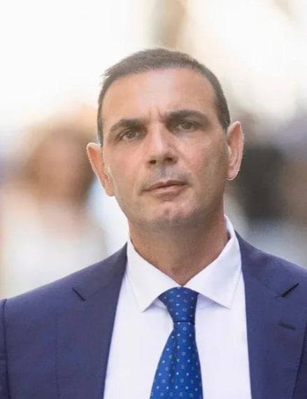 Alleanza Verdi e Sinistra