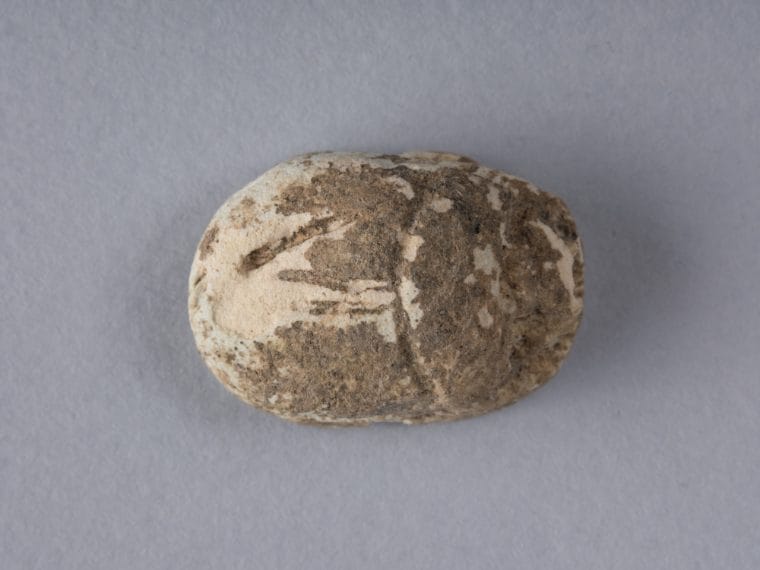 Museo archeologico Nazionale della Sibaritide – Depositi: Scarabeo (Cs)