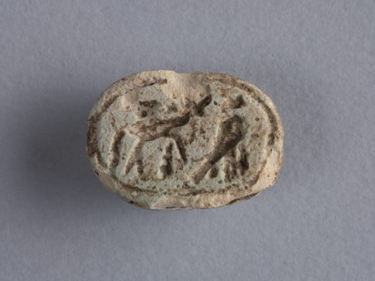 Museo archeologico Nazionale della Sibaritide – Depositi: Scarabeo (Cs)