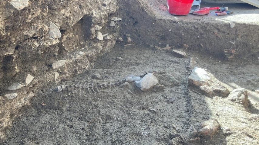 Parco archeologico di Sibari – Domus (?) sotto al Teatro: ambiente con resti animali