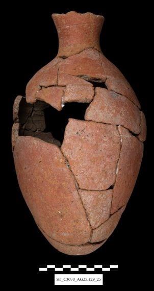 Credit: Massimiliano Nuzzolo e MoTA