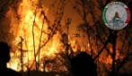 Incendio su Monte Epomeo a Ischia, bruciati ettari di macchia mediterranea