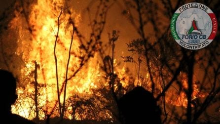 Incendio su Monte Epomeo a Ischia, bruciati ettari di macchia mediterranea