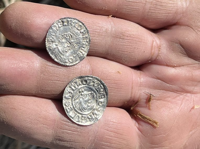 Due delle monete d'argento del tesoro, che mostrano la testa di un re di profilo. Le monete sono straordinariamente ben conservate nonostante siano rimaste in un campo arato. Ciò potrebbe essere dovuto al basso contenuto di pietre nel terreno sul sito del ritrovamento. Foto: Anne Engesveen, Consiglio della Contea di Innlandet