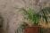 Etro Home
