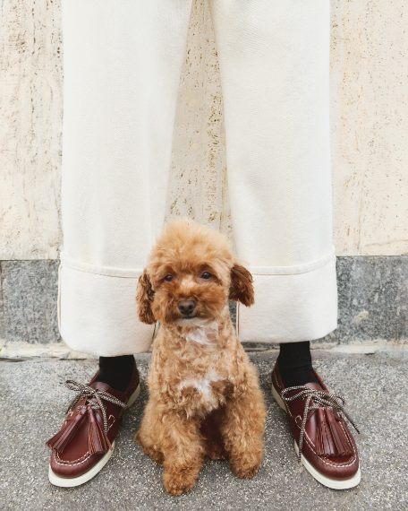 Sebago