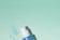 Hydra Water Plump
