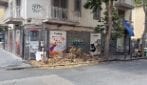 Al Vomero i rami crollati per maltempo abbandonati da un mese nelle strade