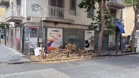 Al Vomero i rami crollati per maltempo abbandonati da un mese nelle strade