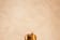 ŚASVA