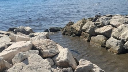 Chiazza marrone sul Lungomare di Napoli vicino al villaggio America's Cup