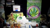 La Cannabis Cup di Amsterdam