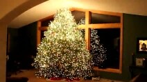 Un albero di Natale magico "balla" il Gangnam Style