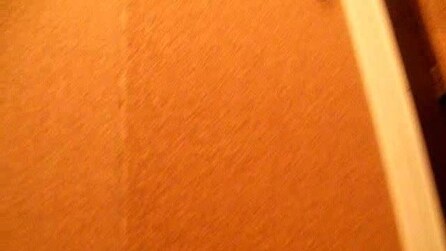 A 0036 affitto monolocale Pavia centro storico