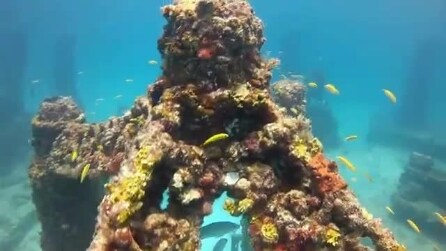 Neptune Memorial Reef, il cimitero sottomarino